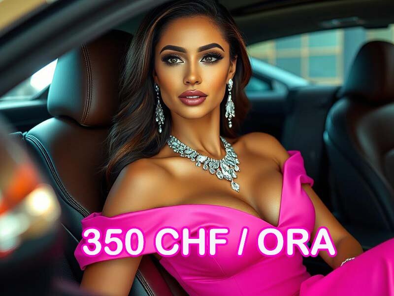 Studiouri in toata Elvetia, 350 CHF/ ora.